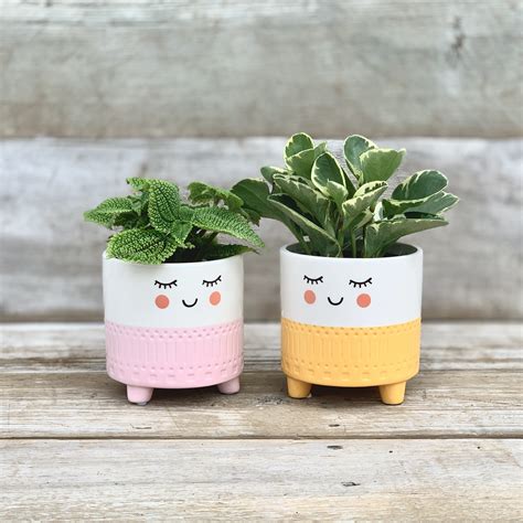 Pots & Ceramics - West Coast Floral