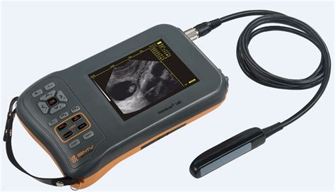 Escaner Ultrasonido Portátil Veterinario Farmscan L60 5 8 Hd Mercado