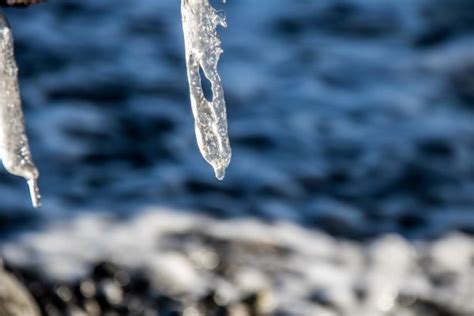 Wallpaper Sea Water Nature Snow Winter Branch Blue Ice Frost