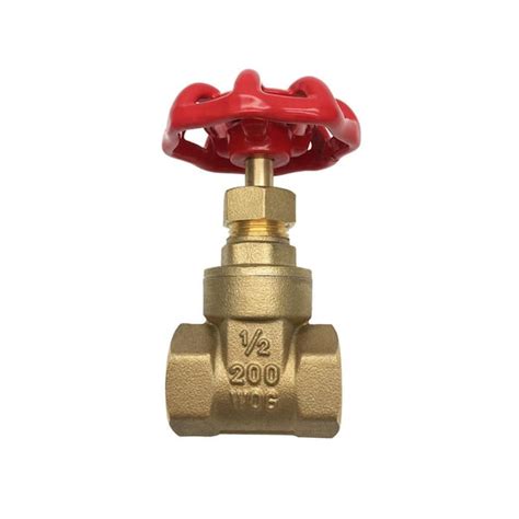 Theworks 1 2 In Fip X Fip Heavy Pattern Brass Threaded Gate Valve Lfbv144 The Home Depot