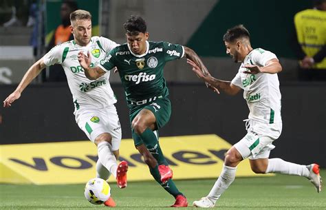 Veja Quem Foi Bem E Quem Foi Mal Na Vit Ria Do Palmeiras Sobre O Cuiab