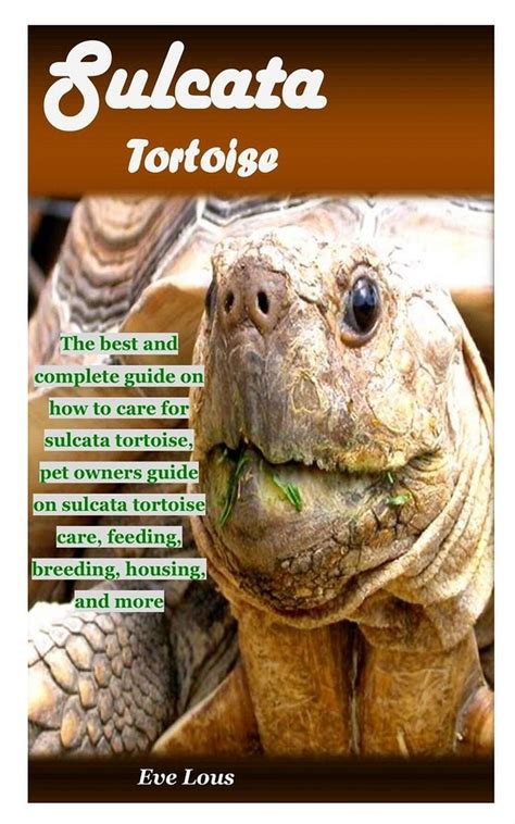 Sulcata Tortoise The Best And Complete Guide On How To Care For