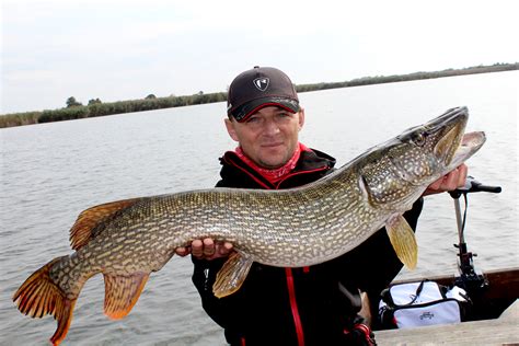 Guided Fishing Trips