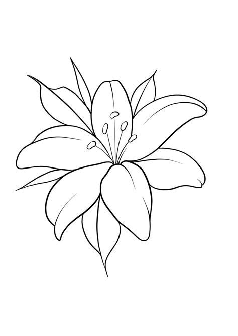 Pin By Aileen Monroe On Tattoo Ideas In 2024 Flower Drawing Flower