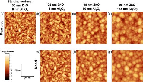 A Afm Heightmap Of The Nm Zno Sample Which Was Used As An Input