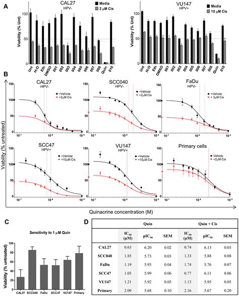 Repurposed Quinacrine Synergizes With Cisplatin Reducing The Effective