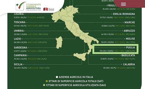 Censimento La Puglia Ha Perso Un Terzo Delle Aziende Olivo E Olio