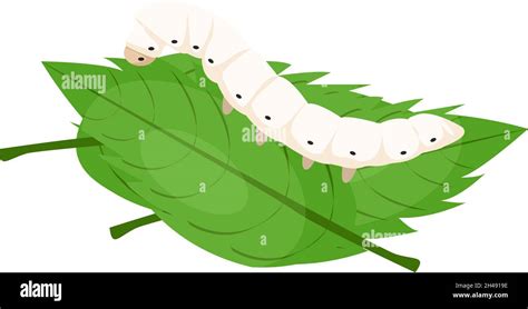 Silk Worm Illustration Vector On A White Background Stock Vector