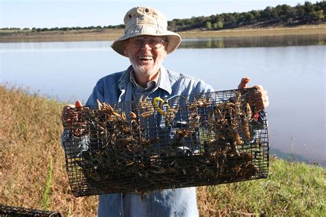 Diy Crayfish Trap How To Build A Crawfish Trap Women In The Woods