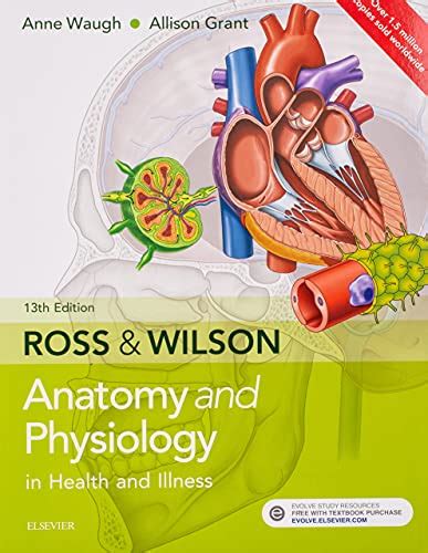 14 Best Anatomy and Physiology Books | Anatomy Textbooks | BioExplorer