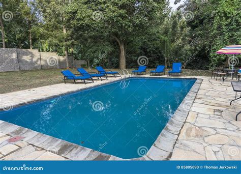 Swimming-pool in Resort Hotel in Tanzania Stock Photo - Image of bungalow, grass: 85805690