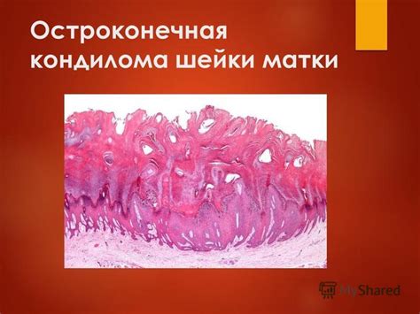 Презентация на тему: "Федеральное государственное бюджетное ...
