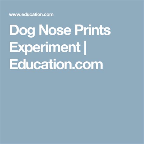 Dog Nose Prints Science Project Science Fair