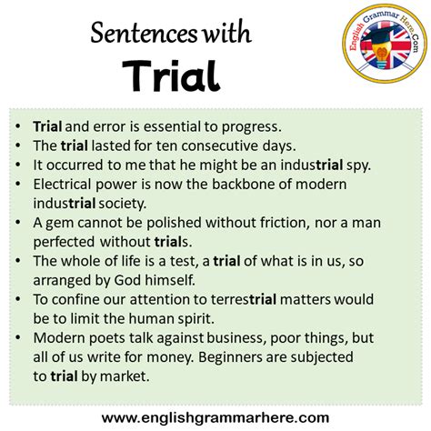 Sentences With Trial Trial In A Sentence In English Sentences For