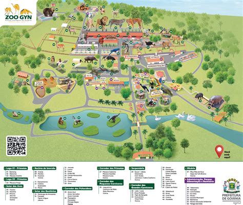 Zoologico Goiania - Zoológico de Goiânia: tudo que você precisa saber para visitar o parque