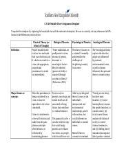 Cj Module Three Assignment Template Docx Cj Module Three