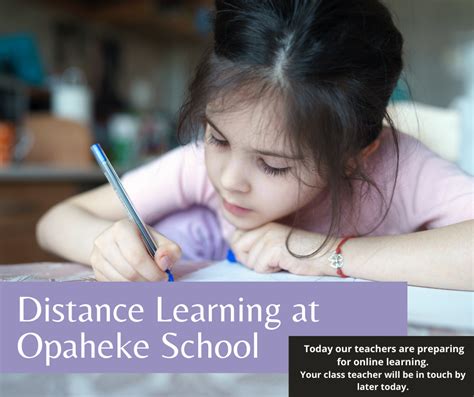 Ōpaheke School