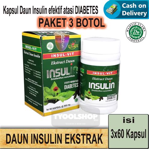 PAKET 3 BOTOL Kapsul Ekstrak Daun Insulin INSULVIT Ash Shihhah