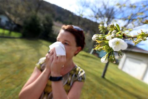 Franche Comté Allergies un risque élevé avec le retour des pollens