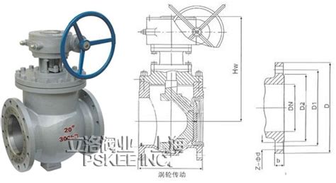 上装式偏心半球阀 顶装式偏心半球阀 派司克阀业（上海）有限公司