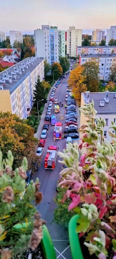 Gliwice Tragiczny wypadek na ulicy Czernego Nie żyje 7 letnie dziecko