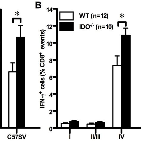 Genetic Deficiency Of IDO Enhances The T CD8 Response To T Ags Most