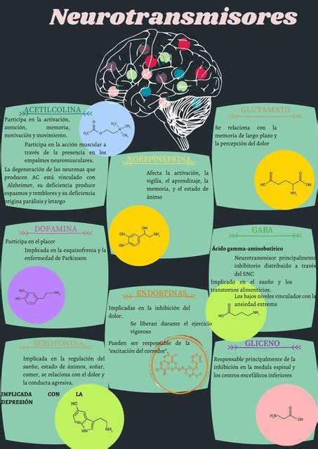 Resúmenes De Neurotransmisores Descarga Apuntes De Neurotransmisores