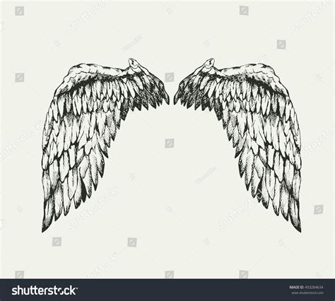 Realistic Angel Wings Detailed Hand Drawn Stock Vector (Royalty Free) 493284634 | Shutterstock