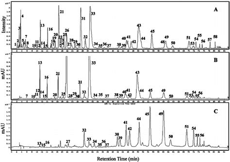 Chromatogram Of Hplc Tof Ms For Phenolic Compounds In Tea Leaves A Download Scientific