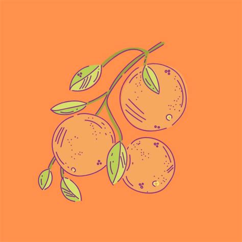 Orange Farming Youtube