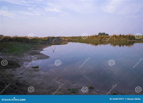 Arial View Canal With Green Grass And Vegetation Reflected In The Water Nearby Padma River Stock