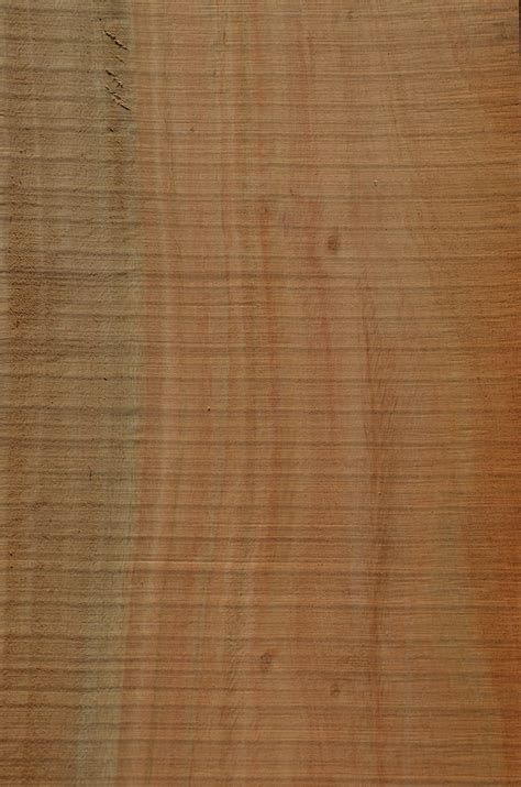 Eucalipto Eukalyptus S Gefurnier Holz Authentisch