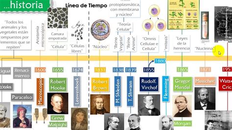 Linea Del Tiempo Sobre La Evolucion Del Microscopio MXEDUSA