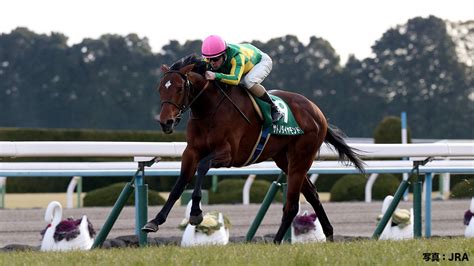 Jra Fun On Twitter 今週末は、きさらぎ賞giii！ 数々のクラシックホースを生んだ冬の名物レース！ 2016年の優勝