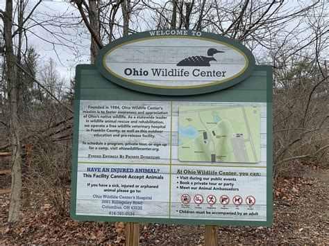 Ohio Wildlife Center fascinates and educates - Lewis Center Mom