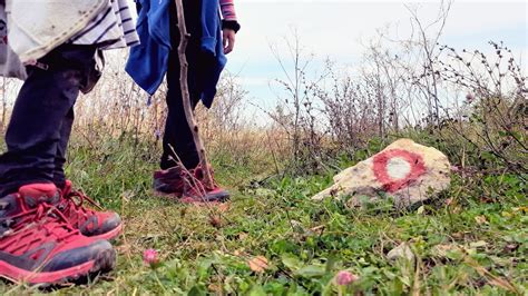 Medvednica S Djecom Staza Planina Donja Pd Lipa Bofora