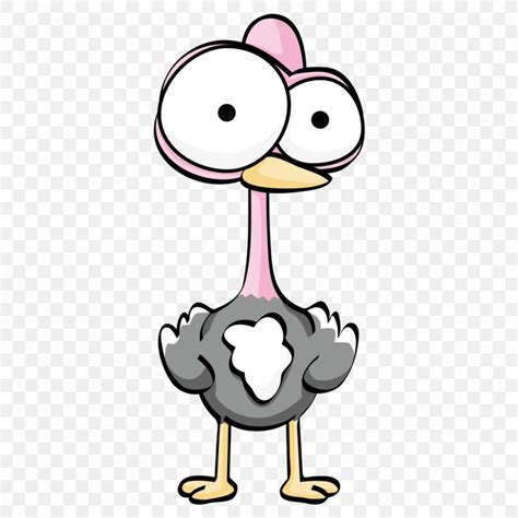 Common Ostrich Cartoon Drawing, PNG, 1000x1000px, Common Ostrich ...