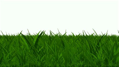 Grass Animated Images Grass Animated Cliparts Clipart Flowers Cartoon