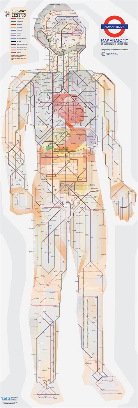 The Human Body Transformed Into Clever Subway Map