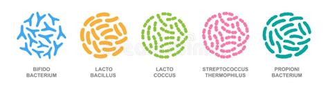 Probiotics In A Circle Good Bacteria And Microorganisms