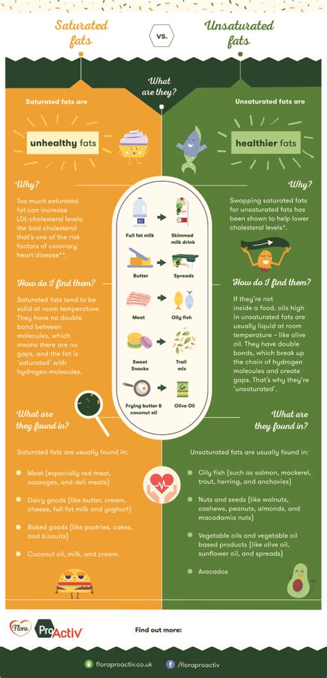 What are Saturated and Unsaturated Fats?