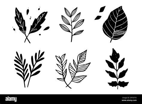 Set Of Lino Cut Vector Stamp Black Leaves And Branch Imprints On White