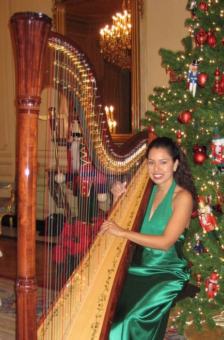 Christmas Harp Music - Harp Enchants