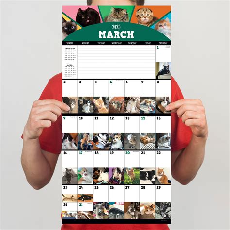 2025 Cat A Day Square Wall Calendar