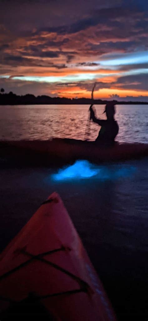 Bioluminescent Kayaking Floridas Best Kept Odd Thrilling Magical Secret