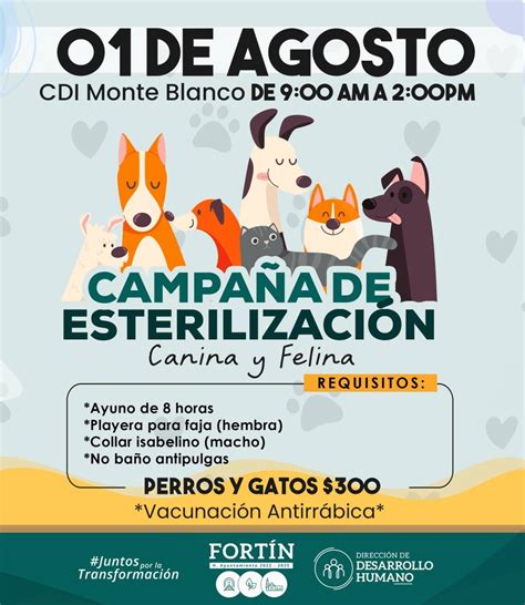 Jornada de esterilización para perros y gatos en Fortín