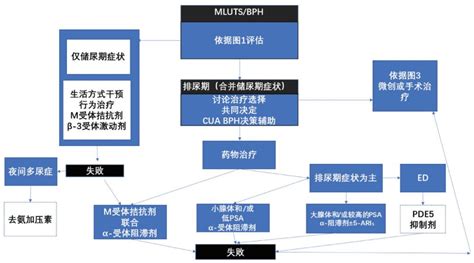 《加拿大泌尿外科学会男性下尿路症状良性前列腺增生指南更新》解读 泌尿外科杂志电子版