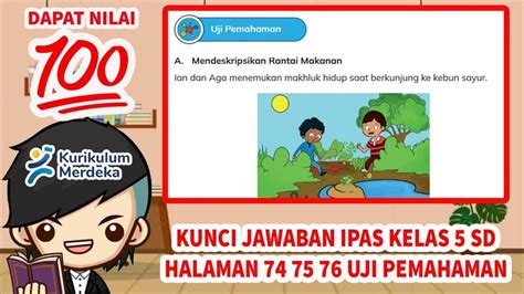 Soal And Kunci Jawaban Buku Ipas Kelas 5 Sd Halaman 74 75 Proses Transfer Energi Pada Rantai