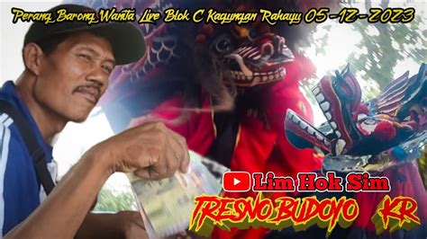 Perang Barong Wanita Versi Tresno Budoyo Live Blok C Kagungan Rahayu