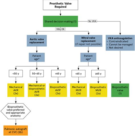 Acc Aha Guideline For The Management Of Patients With Valvular